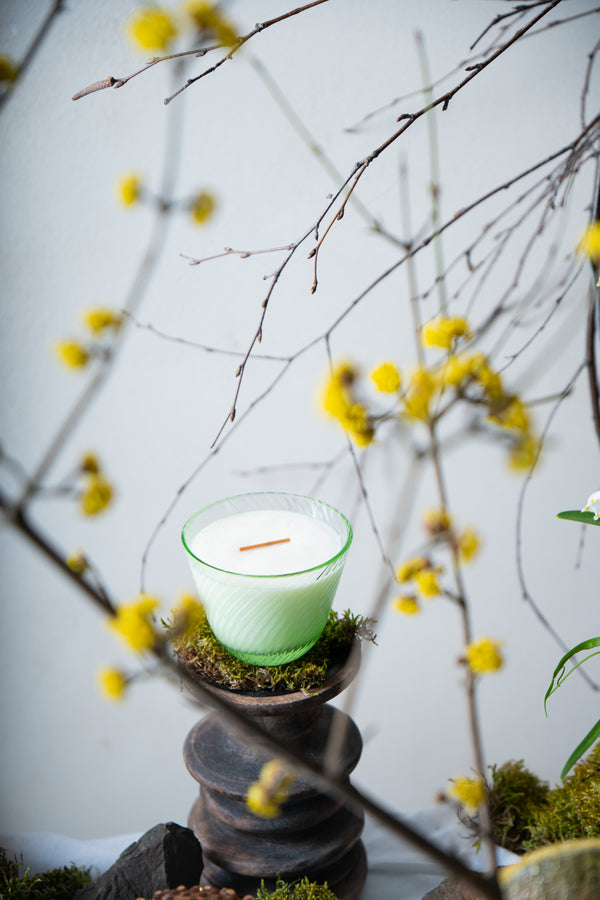 Small Candle Linea Citrus & Wood