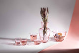 SHADOWS <br> Espresso Glass Cup in Suede Pink <br> (Set of 2) - KLIMCHI